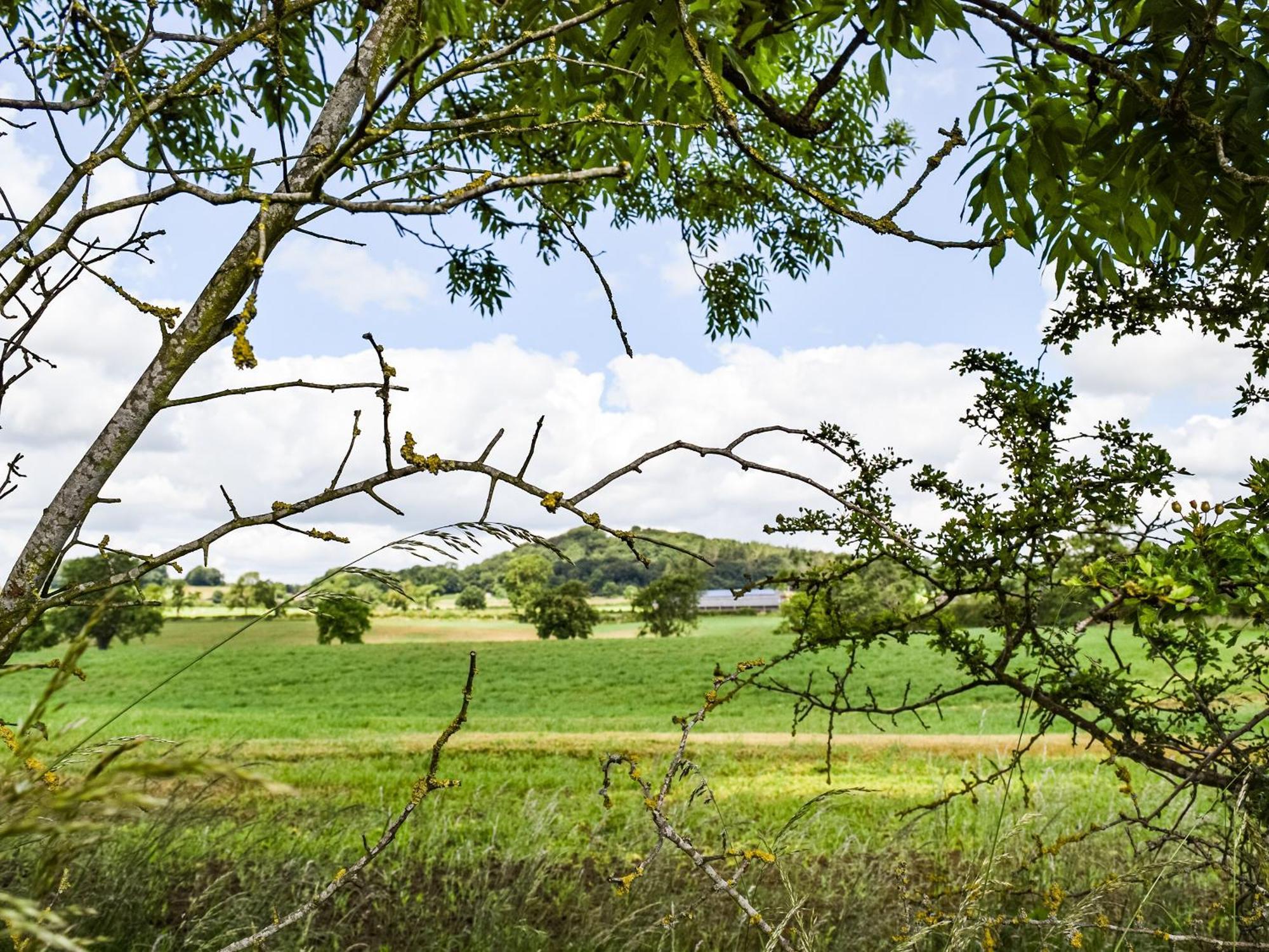 Pheasant Lodge - Uk33402 Hungerton Экстерьер фото